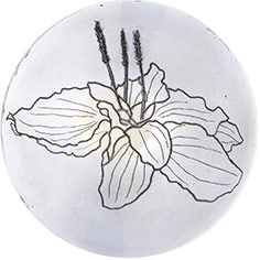 Impronte di sopravvivenza